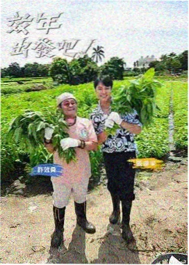 街角的小店